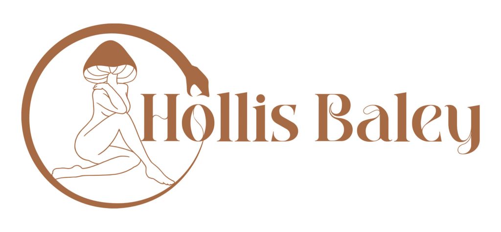 hollis logo color3